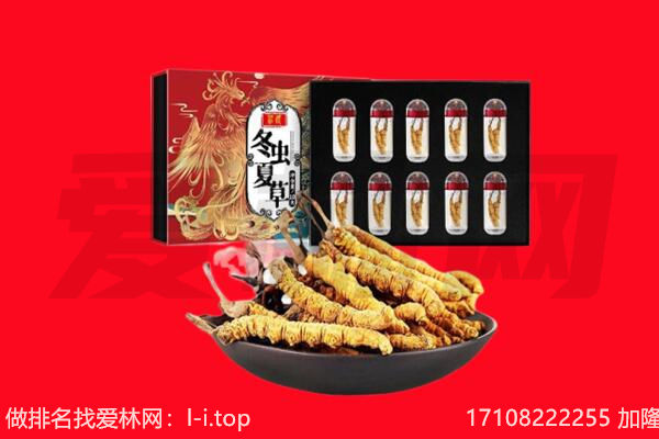 长阳县回收虫草.jpg